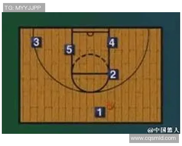 广州排球队的阵地战策略深度解析与战术创新探讨