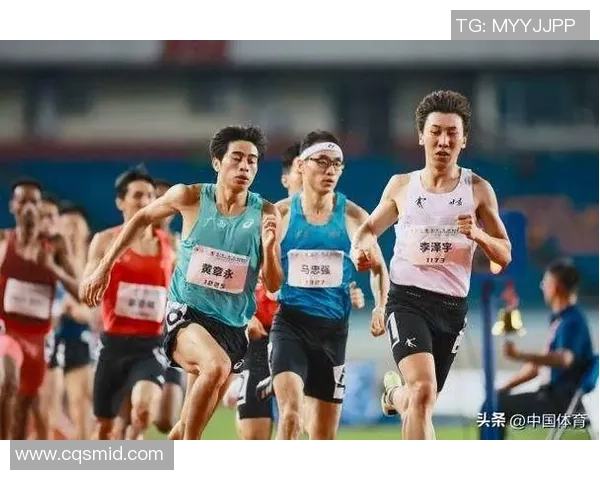 深圳排球队以80分稳居联赛积分榜首位展现强劲实力